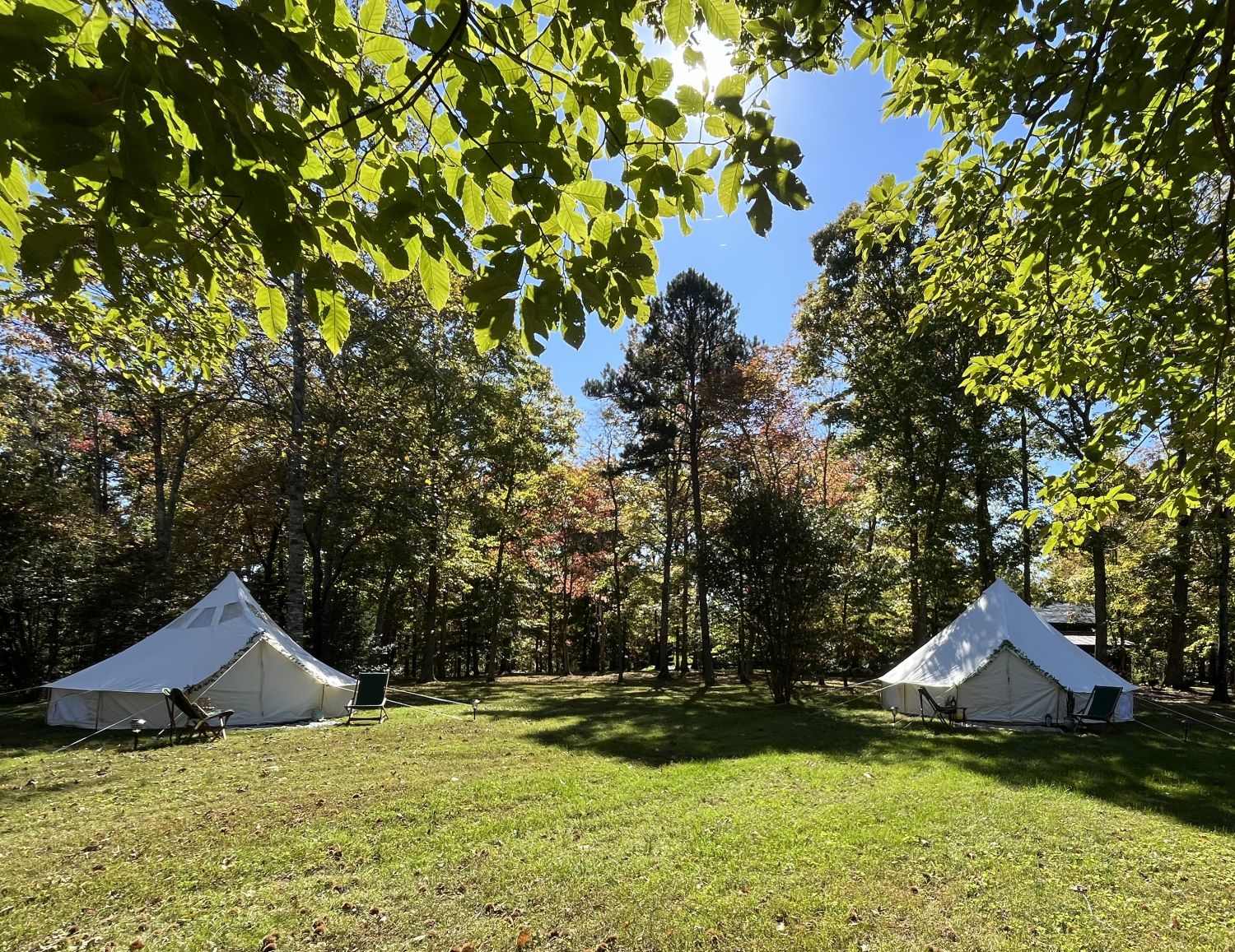 Two Tent Setup